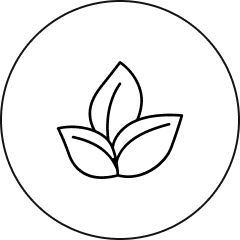 Feature 3 Icon