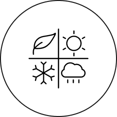 Feature 2 Icon