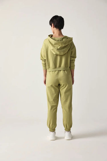 #color_kiwi-green